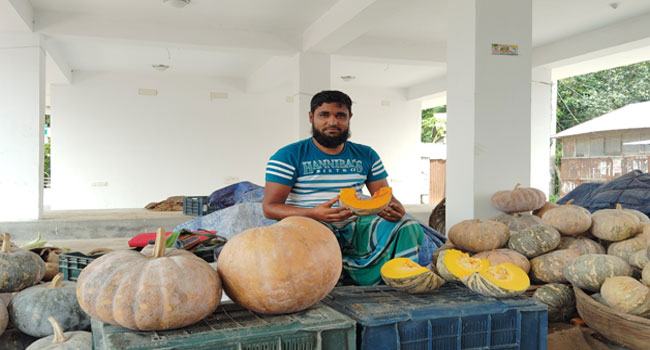 মিষ্টি কুমড়া বিক্রি করে চলে জীবিকা