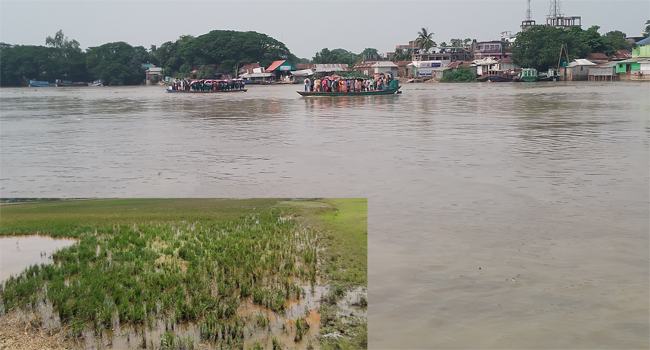 পাহাড়ি ঢলে বাড়ছে সুনামগঞ্জের সুরমা নদীর পানি, তবে ভয় নেই
