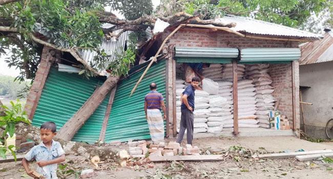 ঠাকুরগাঁওয়ে ১৫ মিনিটের ঝড়ের তাণ্ডব, শিশুসহ নিহত ৩