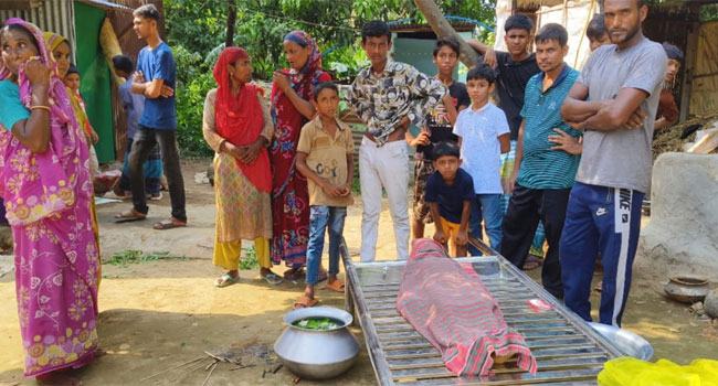 কালিয়াকৈরে পুকুরে ডুবে ২ শিশুর মৃত্যু