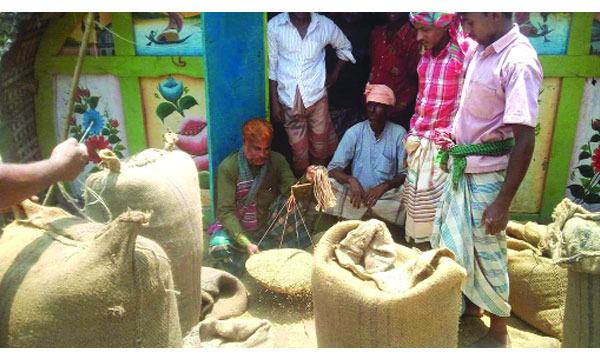 আদমদীঘিতে ধানের বাজারদর নিয়ন্ত্রণ করে আড়তদার ও ব্যবসায়ীরা