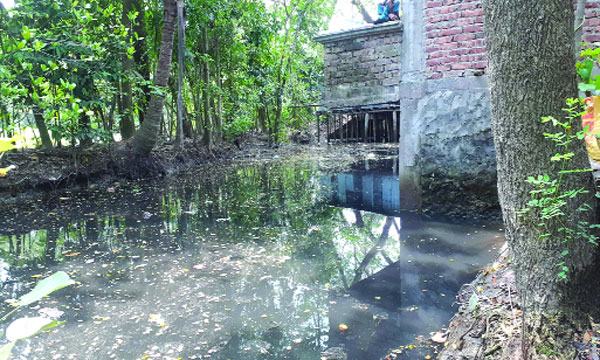 লালমোহনে অবৈধভাবে সরকারি খাল দখল করে ভবন নির্মাণ!
