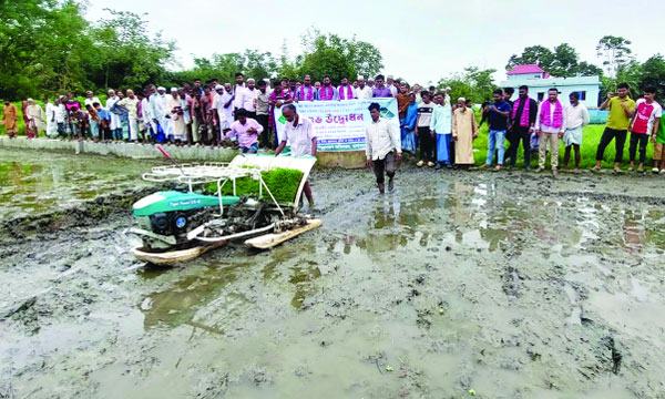 মুরাদনগরে সমলয় পদ্ধতিতে ধানের চারা রোপণ শুরু