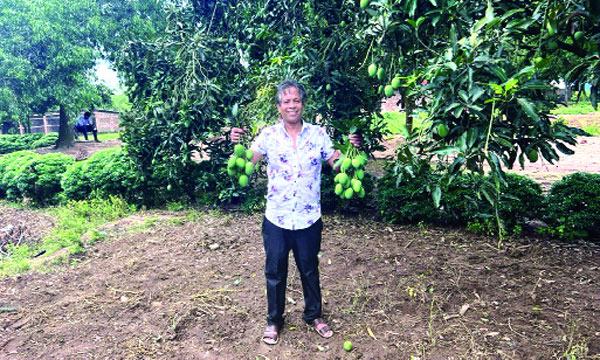 শখের বসে শুরু, এখন বাণিজ্যিকভাবে আম চাষ