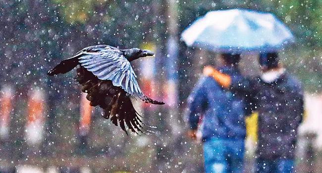 সারা দেশে হালকা থেকে মাঝারি ধরনের বৃষ্টির পূর্বাভাস