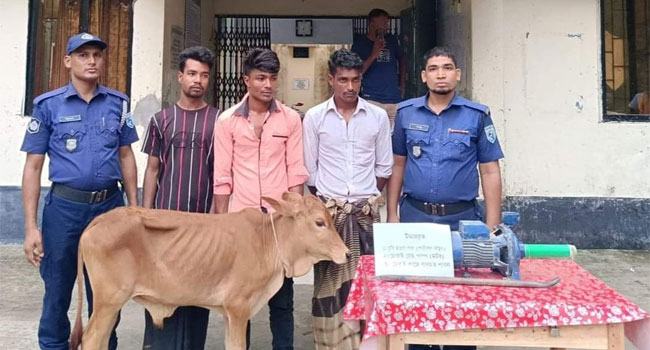কুড়িগ্রামের ভূরুঙ্গামারীতে আন্তঃজেলা চোরচক্রের ৩ সদস্য গ্রেফতার