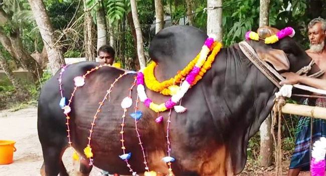 আলোচনায় ১৫ লাখ টাকার 'জায়েদ খান'