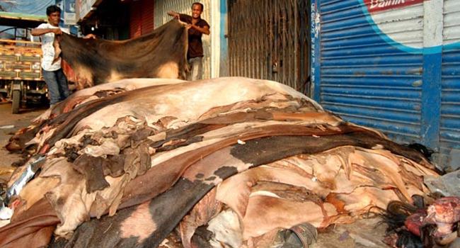 এবার ন্যায্য মূল্যে চামড়া কিনবে বিসিক