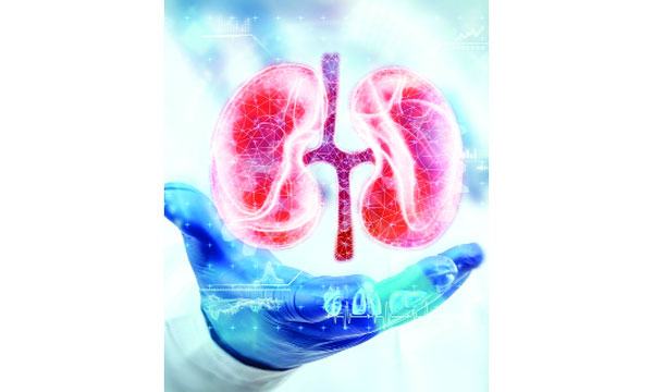 শিশুর বৃক্কের অসুখ নেফ্রোটিক সিনড্রোম