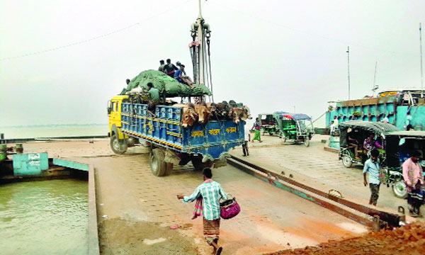 দৌলতদিয়ায় গরুর ট্রাক পারাপারে চাঁদাবাজির অভিযোগ