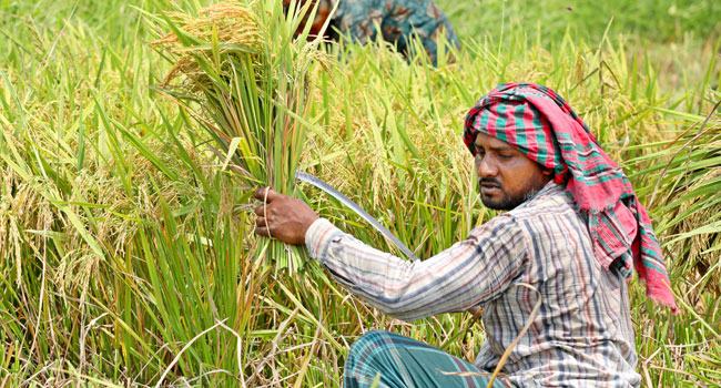 দুঃসময়ে গ্রামীণ অর্থনীতি