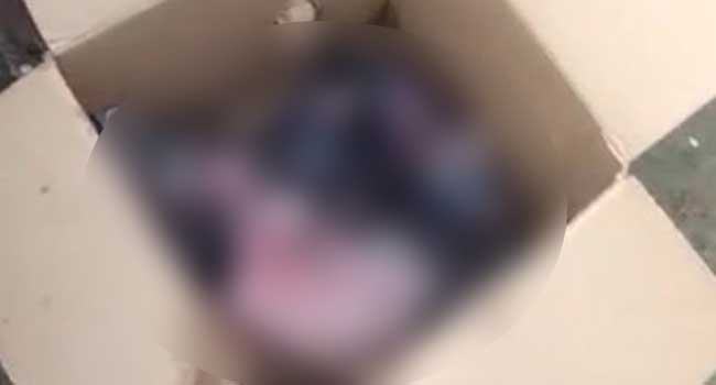 সরাইলে নদীর পাড় থেকে নবজাতকের লাশ উদ্ধার