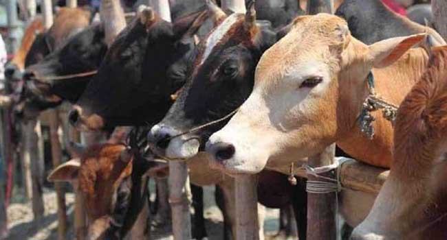 কাল থেকে রাজধানীতে বসবে কোরবানির পশুর হাট