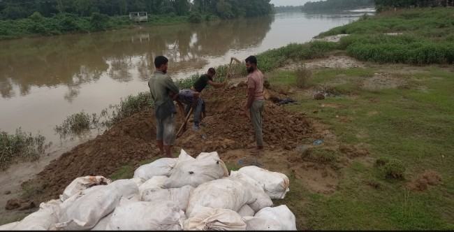 মৌলভীবাজারে খাসির চামড়া পুঁতে ফেলা হয়েছে মাটির নিচে