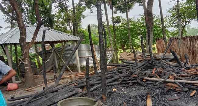 মরিচ তুলতে গিয়ে বজ্রপাতে গৃহবধূর মৃত্যু