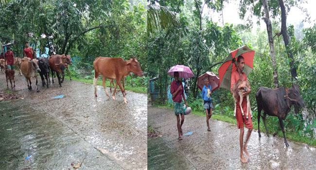 বর্ষা এলেই মনে হয় ‘২২ সালের সেই ভয়ঙ্কর বন্যা, তাই ঈদের দিনটি নিয়ে ভয় বেশি ছিল