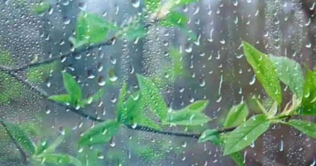 বৃষ্টি কতদিন থাকবে, জানাল আবহাওয়া অধিদফতর