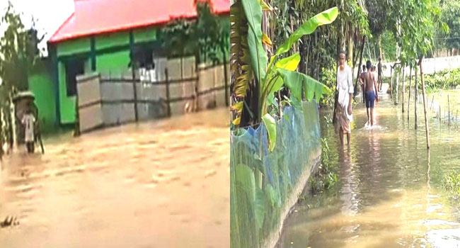 কমলগঞ্জে ৪০টি গ্রামের মানুষ পানিবন্দী