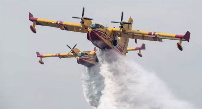 বন রক্ষায় ফায়ার সার্ভিসের বিমানঘাঁটি খুলল আলজেরিয়া