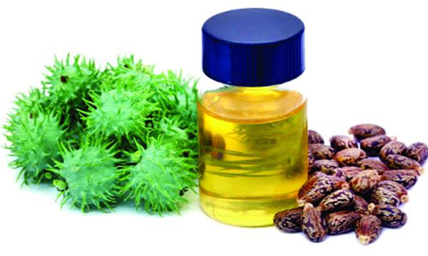 ক্যাস্টর অয়েল কী