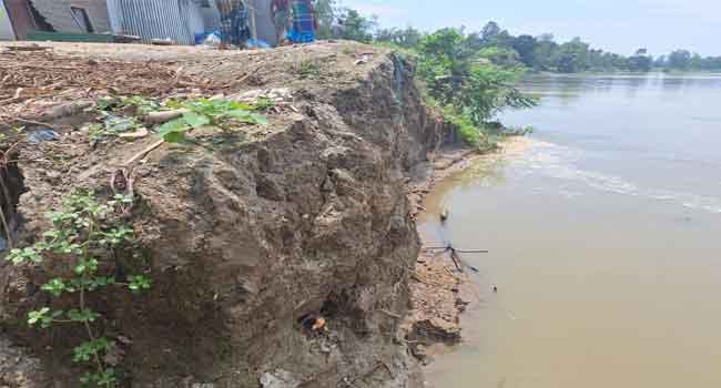জামালপুর পাঁচ উপজেলায় ভাঙন, আতঙ্কে নদীপাড়ের মানুষ