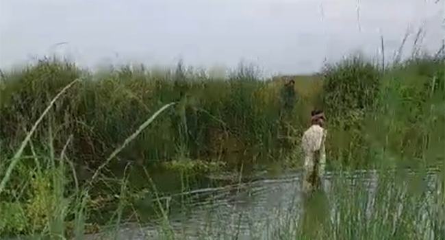 ভাঙ্গায় বিল থেকে নারীর অর্ধগলিত লাশ উদ্ধার