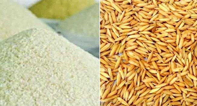 রাষ্ট্রীয় ১০ সংস্থার জনবলের চাল গমের দাম বাড়ল ৪০০ ভাগ