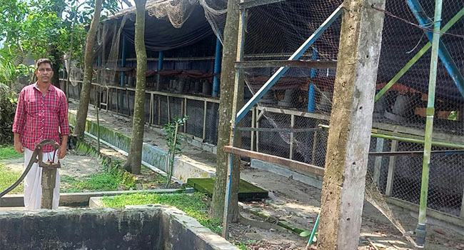 হোসেনপুরে বিনা নোটিশে ২০ পোল্ট্রি খামার বন্ধ : বিপাকে খামারি ও শ্রমিকরা