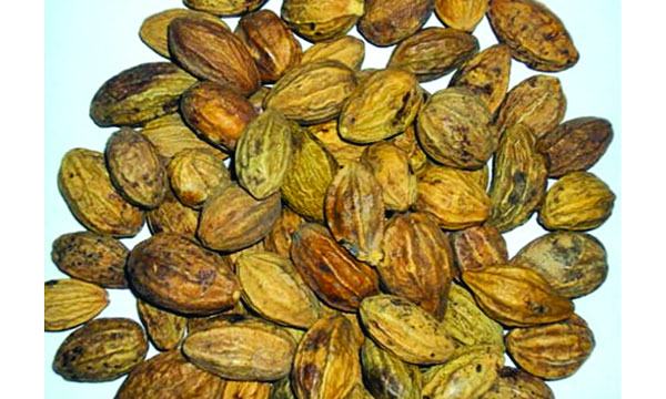 হরীতকীর গুণ