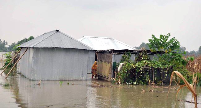 কুড়িগ্রামে বন্যা পরিস্থিতির অবনতি, বিপৎসীমার উপরে ব্রহ্মপুত্র-ধরলা