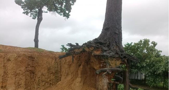 উখিয়ায় ভারী বর্ষণে পাহাড় ধসের আশঙ্কা