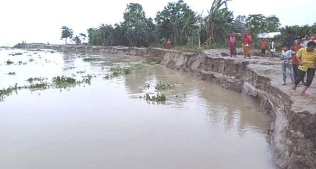 বগুড়ায় যমুনার পানি বেড়ে সারিয়াকান্দির চরাঞ্চল প্লাবিত
