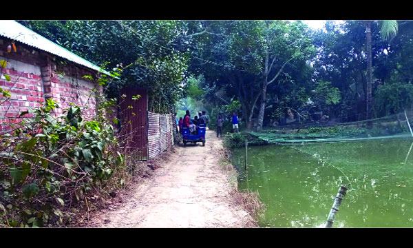 কাহালু উপজেলায় নদী আছে স্রোত নেই, পানি আছে মাছ নেই