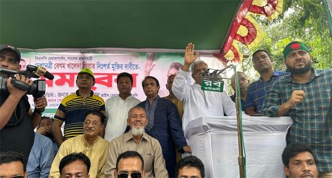 ‘সরকার দেশের উন্নয়ন করেনি, করেছে দুর্নীতির উন্নয়ন’