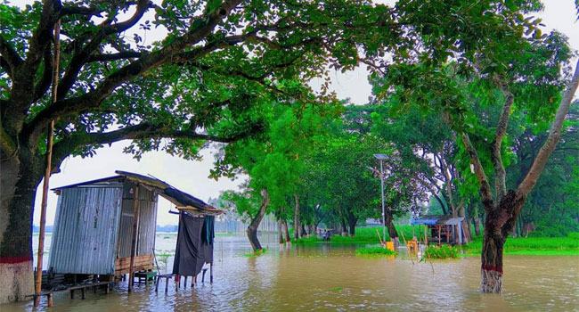ইসলামপুরে বন্যায় ৮ ইউনিয়ন প্লাবিত