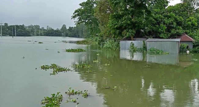 যমুনার পানি বৃদ্ধি অব্যাহত, সিরাজগঞ্জের নিম্নাঞ্চল প্লাবিত