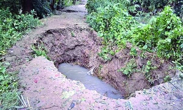 বড় বড় ঋণখেলাপির সুদ মাফ করা হচ্ছে