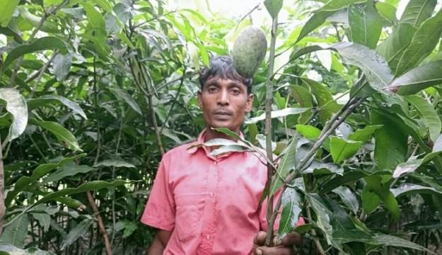 নার্সারি ভাগ্য বদলে দিলো আলামিনের