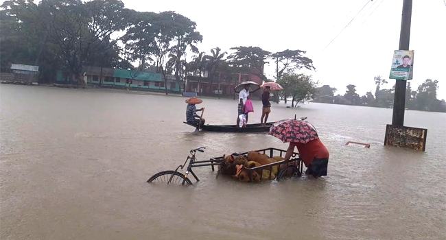 দোয়ারাবাজারে বন্যায় কৃষিতে ক্ষতি কোটি টাকা