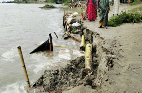 দৌলতদিয়া পয়েন্টে পদ্মার পানি বিপৎসীমার কাছাকাছি