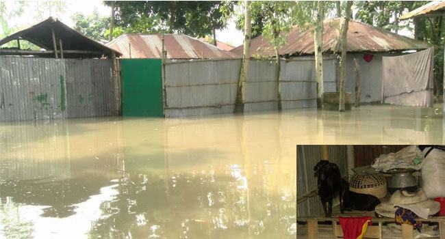 উত্তরে পানিবন্দী মানুষদের মহাদুর্গতি, ত্রাণ নেই