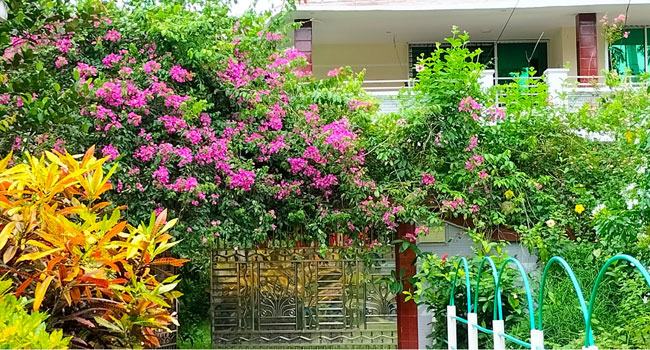 মুলাদীতে খান বাড়ির লাল টুকটুকে গেট ফুল দৃষ্টি কেড়ে নেয় পথিকের