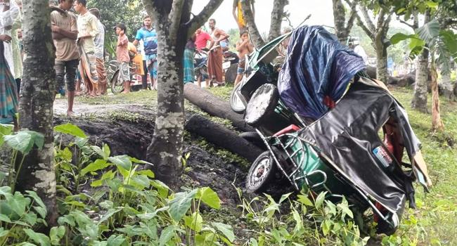 ঈশ্বরগঞ্জে ইজিবাইকে ট্রাকের ধাক্কা : নিহত ৩, আহত ১