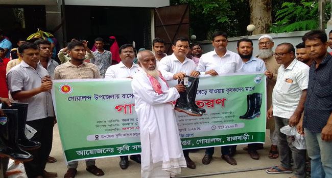 গোয়ালন্দে রাসেলস ভাইপার থেকে রক্ষা পেতে কৃষকদের মধ্যে গামবুট বিতরণ