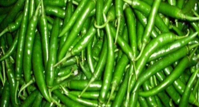 বরিশালে কাঁচামরিচের কেজি ৬০০ টাকা!
