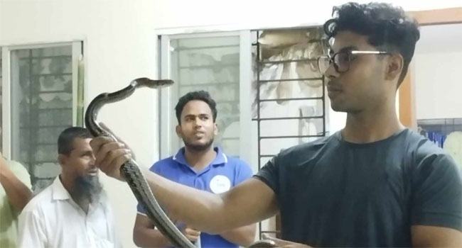 কুবির শেখ হাসিনা হল থেকে সাপ উদ্ধার, শিক্ষার্থীদের মাঝে আতঙ্ক