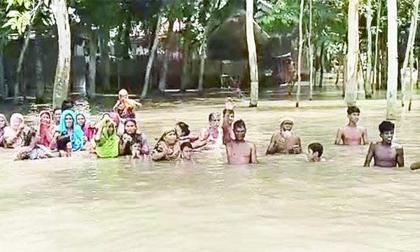 জামালপুরে ত্রাণের জন্য গলা পানিতে বানভাসি মানুষ