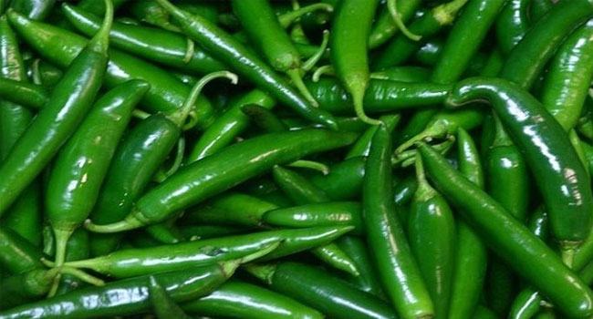 গলাচিপায় কাঁচামরিচের কেজি ৫০০ টাকা