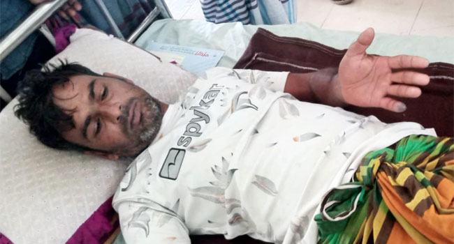 মাছ ধরতে যেয়ে রাসেল ভাইপার নিয়ে হাসপাতালে যুবক