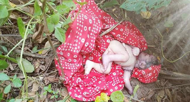তাড়াশে কাপড়ে মোড়ানো নবজাতকের লাশ উদ্ধার